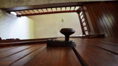 Mountain Maple - Mountain-Maple43.jpg