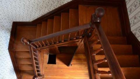 Mountain Maple - Mountain-Maple44.jpg