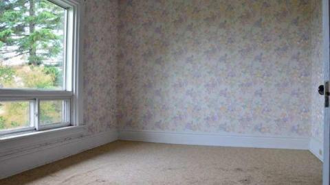 Mountain Maple - Mountain-Maple45.jpg