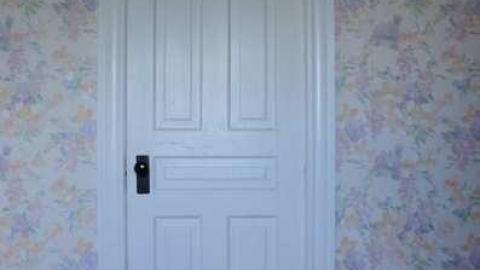 Mountain Maple - Mountain-Maple46.jpg