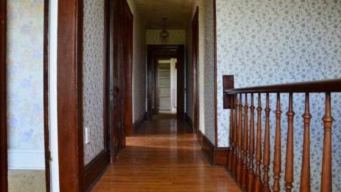 Mountain Maple - Mountain-Maple61.jpg