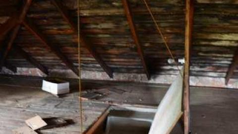 Mountain Maple - Mountain-Maple62.jpg