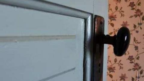 Mountain Maple - Mountain-Maple70.jpg