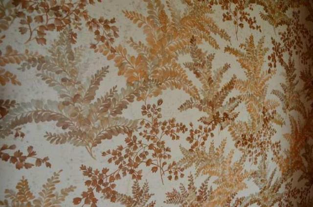 Mountain Maple photo 5