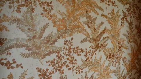 Mountain Maple - Mountain-Maple64.jpg