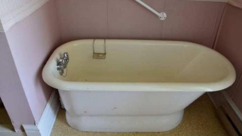 Mountain Maple - Mountain-Maple65.jpg