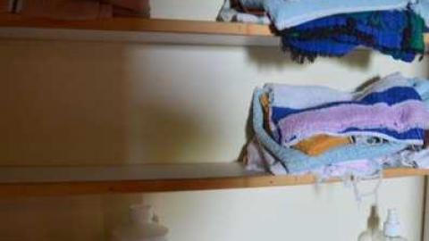 Mountain Maple - Mountain-Maple66.jpg