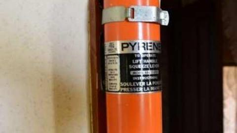 Mountain Maple - Mountain-Maple52.jpg