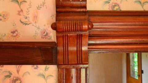 Mountain Maple - Mountain-Maple67.jpg