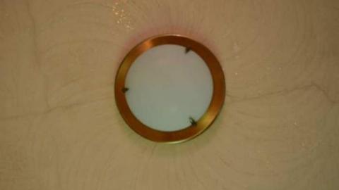 Mountain Maple - Mountain-Maple53.jpg