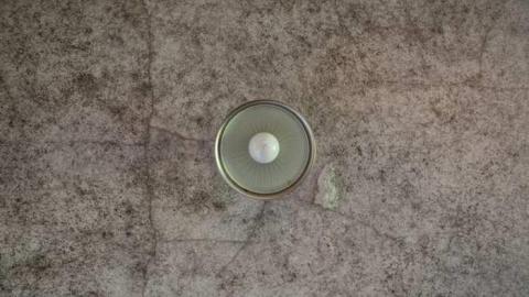 Mountain Maple - Mountain-Maple54.jpg