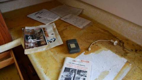 Mountain Maple - Mountain-Maple69.jpg