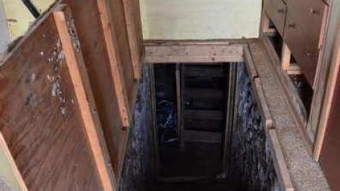 Mountain Maple - Mountain-Maple56.jpg