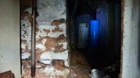 Mountain Maple - Mountain-Maple58.jpg