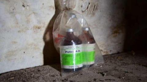 Mountain Maple - Mountain-Maple59.jpg