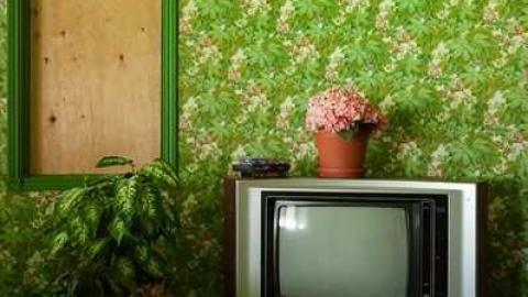 May '13 - Abandoned-Cat-Lady-House147.jpg