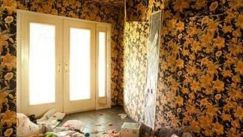 May '13 - Abandoned-Cat-Lady-House148.jpg