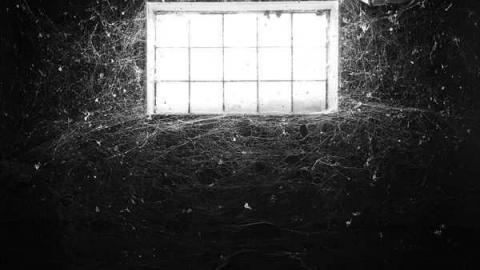 May '13 - Abandoned-Cat-Lady-House151.jpg