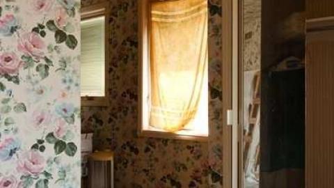 May '13 - Abandoned-Cat-Lady-House153.jpg