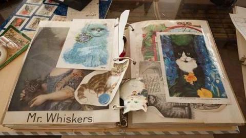 May '13 - Abandoned-Cat-Lady-House156.jpg