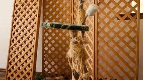 May '13 - Abandoned-Cat-Lady-House158.jpg