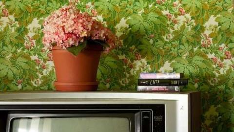 May '13 - Abandoned-Cat-Lady-House161.jpg