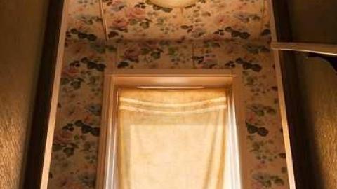 May '13 - Abandoned-Cat-Lady-House163.jpg