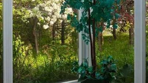 May '13 - Abandoned-Cat-Lady-House169.jpg