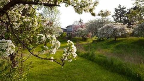 May '13 - Abandoned-Cat-Lady-House171.jpg