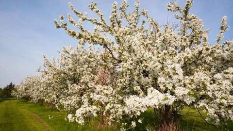 May '13 - Abandoned-Cat-Lady-House172.jpg