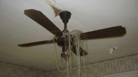 Photo from Quaint House 2