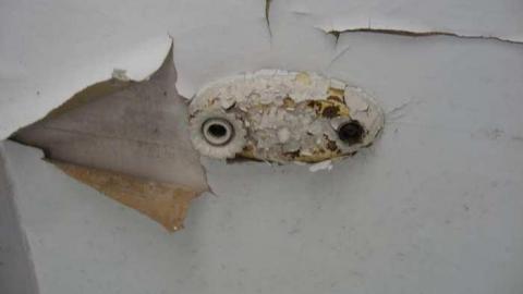 Quaint House 2 - Nightingale-Farm-House-148.jpg