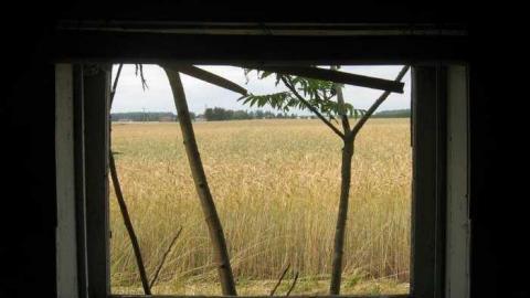 Photo from Quaint House 3