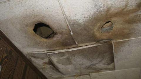 Photo from Quaint House 3