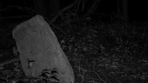 Lamoreaux Cemetery photo 5