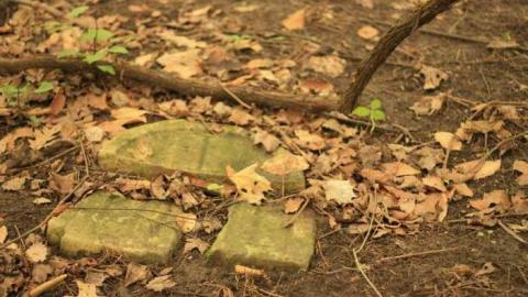 Photo from Lamoreaux