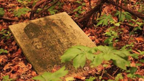 Photo from Lamoreaux