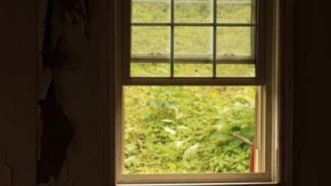 Sideline House - IMG_0695.jpg