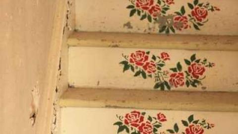 Sideline House - IMG_0702.jpg