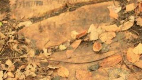 Lamoreaux Cemetery photo 4