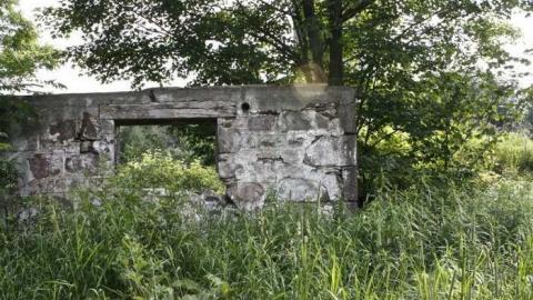 Friendly Dragonfly  - Stone-Ruins-Belfountain28.jpg
