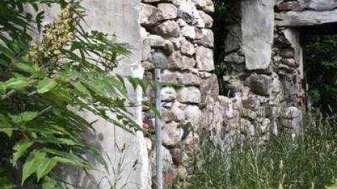 Friendly Dragonfly  - Stone-Ruins-Belfountain29.jpg