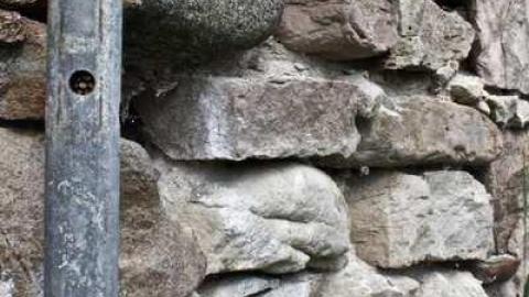 Friendly Dragonfly  - Stone-Ruins-Belfountain39.jpg