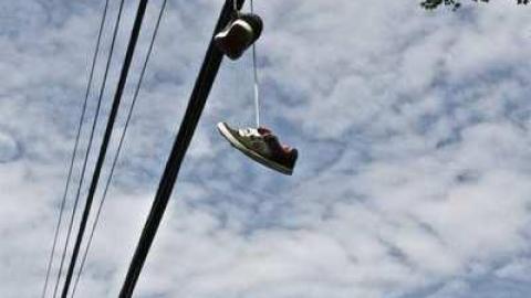 Friendly Dragonfly  - Stone-Ruins-Belfountain53.jpg