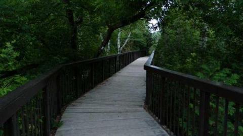 July 4 2013 - Churchs-Falls-Old-Mill122.jpg