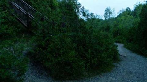 July 4 2013 - Churchs-Falls-Old-Mill137.jpg