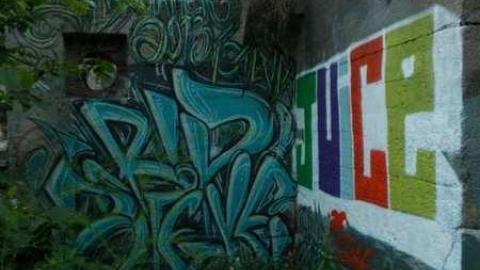 July 4 2013 - Churchs-Falls-Old-Mill127.jpg