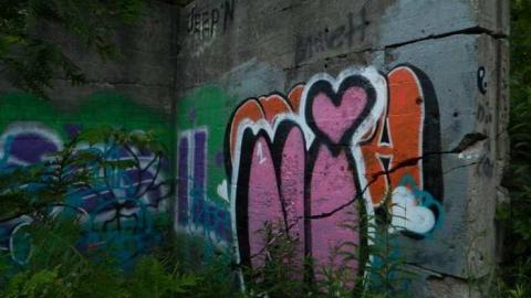 July 4 2013 - Churchs-Falls-Old-Mill142.jpg