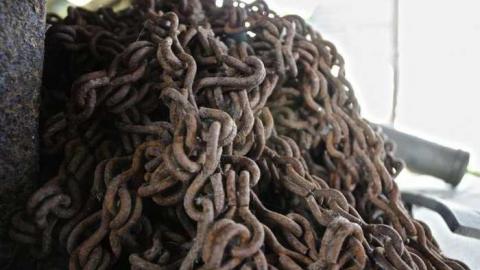 What the Truck? - Truck-Farm19.jpg