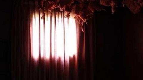 What the Truck? - Truck-Farm21.jpg